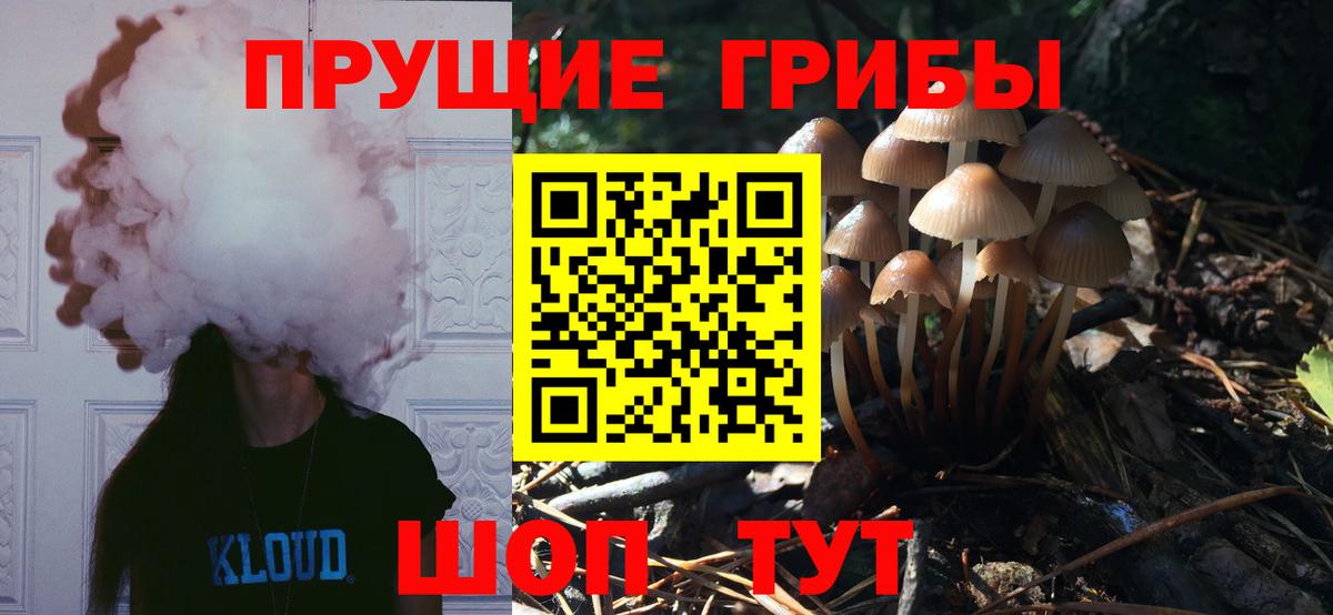 Галлюциногенные грибы Psilocybine cubensis  Вход с VPN  Борзя 