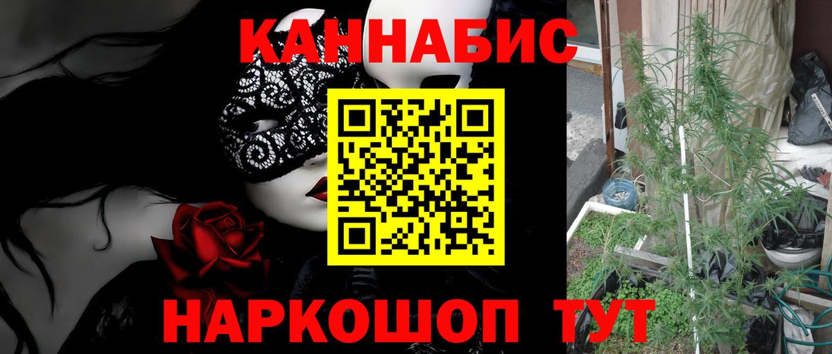 Конопля планчик Борзя
